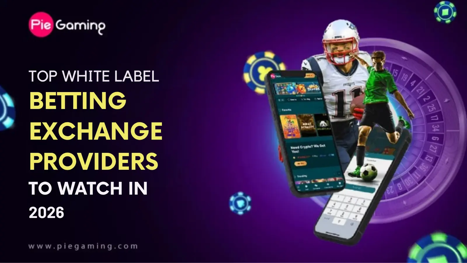 Top White Label Betting Exchange Providers