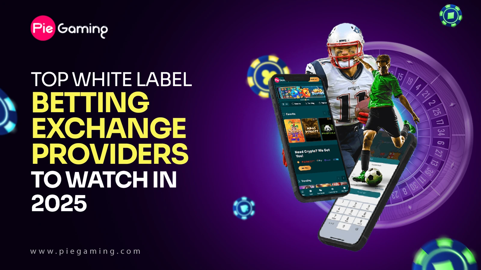 Top White Label Betting Exchange Providers