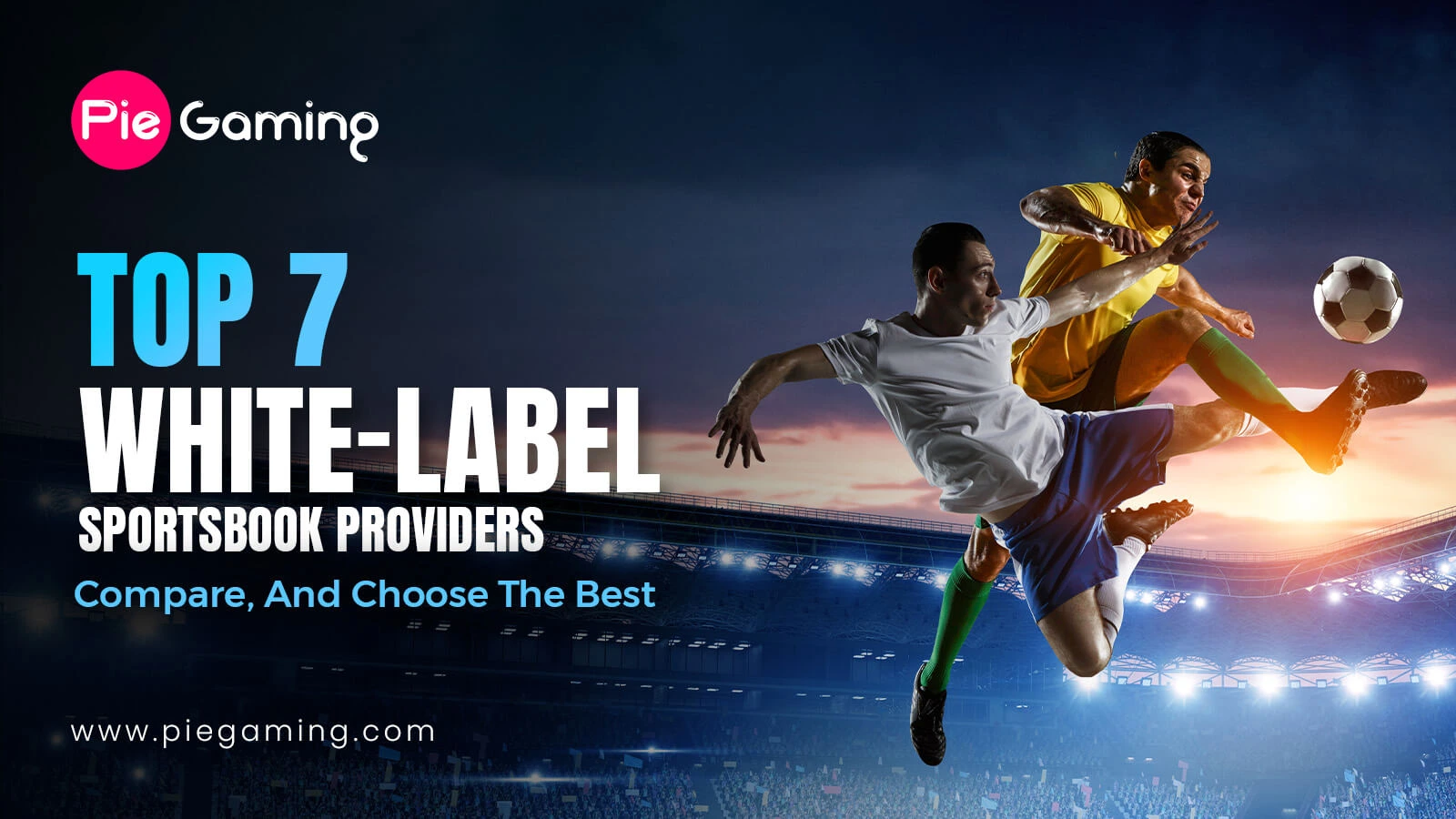 white label sportsbook solution