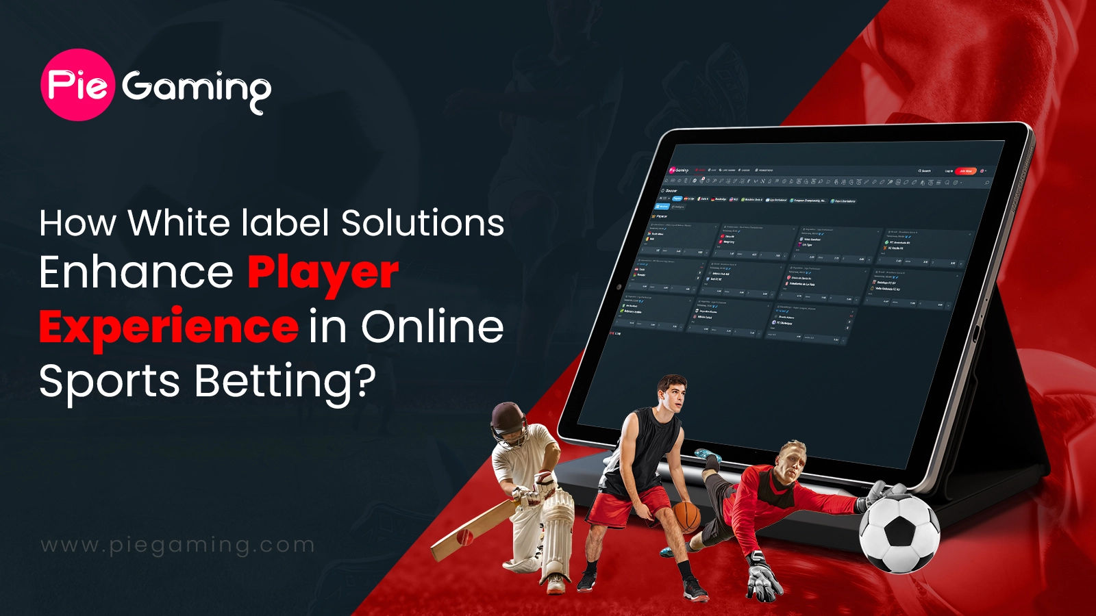 White Label Solutions Enhance Player Experience in Online Sports Betting