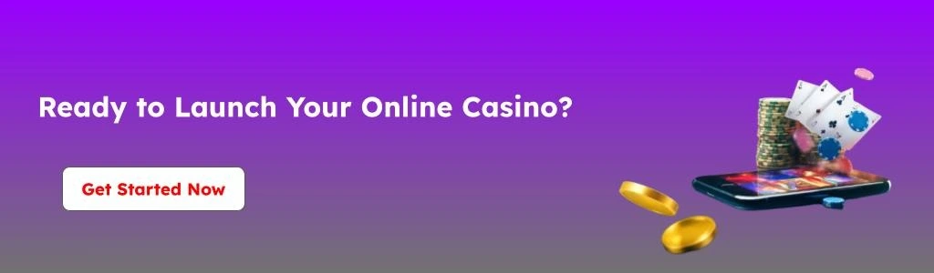 Get in touch with PieGaming for turnkey casino software