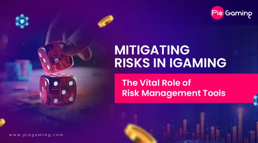 Importance of Risk Management Tools for iGaming Business: Your Ultimate Guide