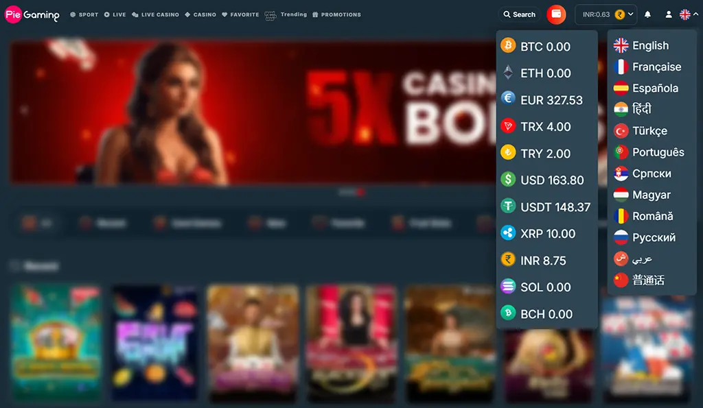 Multi-language and Currency Support