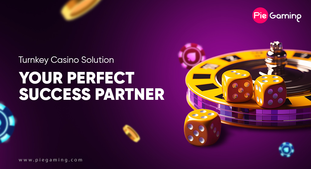 Turnkey Casino Solution Your Perfect Success Partner