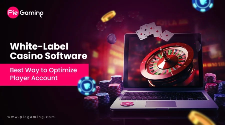 Things You Should Look For When Choosing A white Label Casino Software