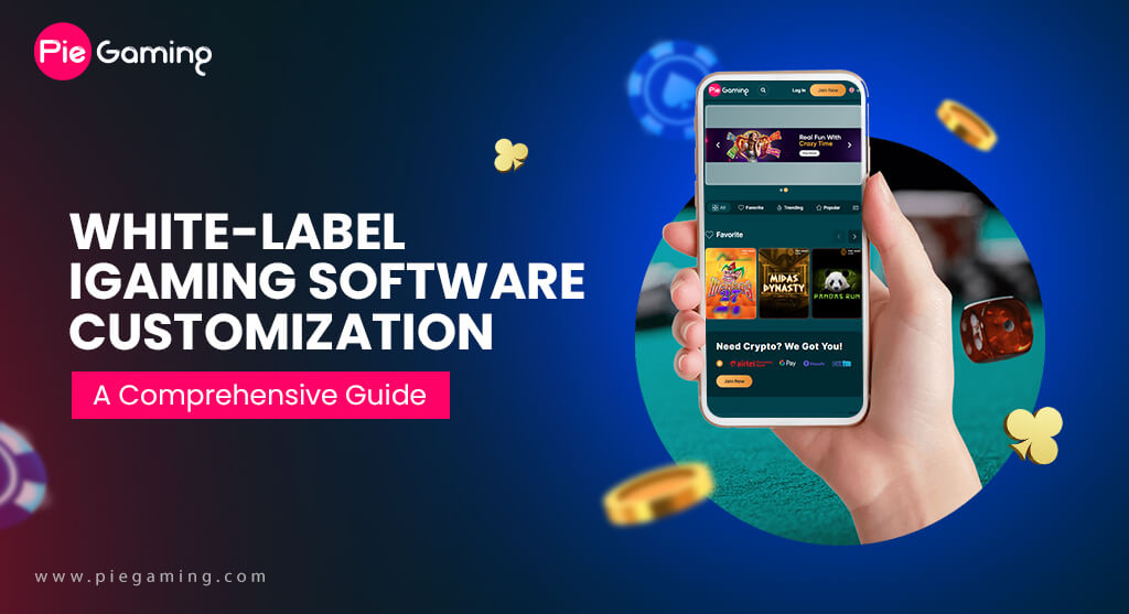 White Label iGaming Software Customization A Comprehensive Guide