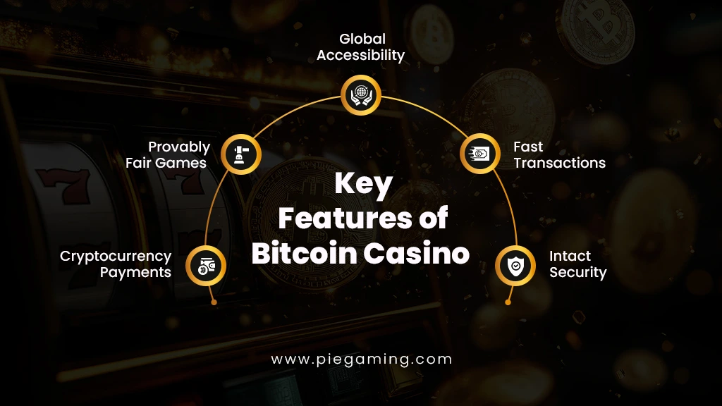 Important Features of Bitcoin Casino 