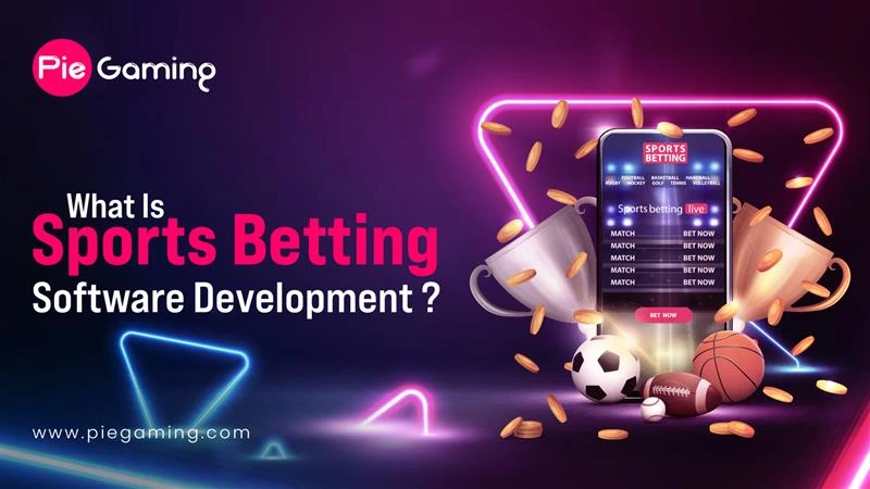 Get PieGaming's all in one sportsbook solution