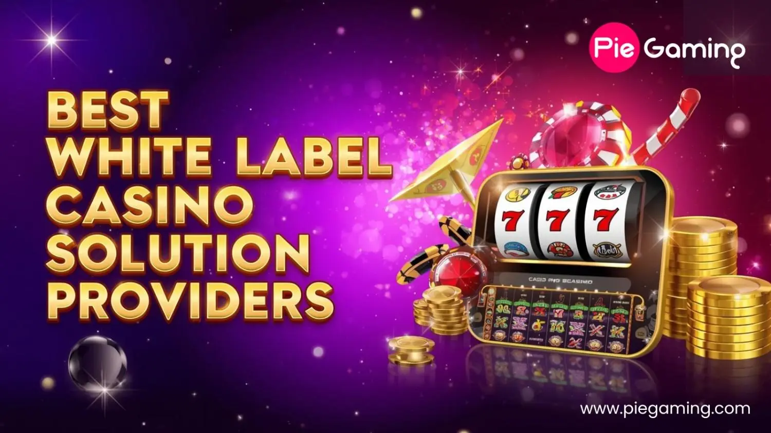 Best White Label Casino Solution